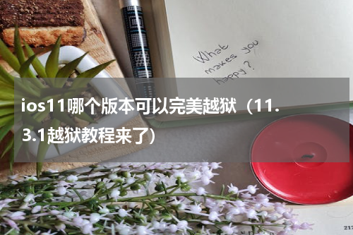 ios11哪个版本可以完美越狱（11.3.1越狱教程来了）