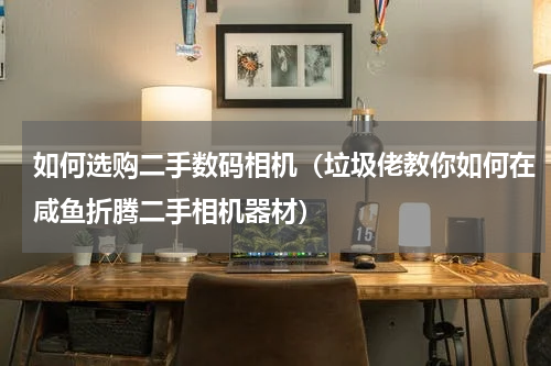 如何选购二手数码相机（垃圾佬教你如何在咸鱼折腾二手相机器材）
