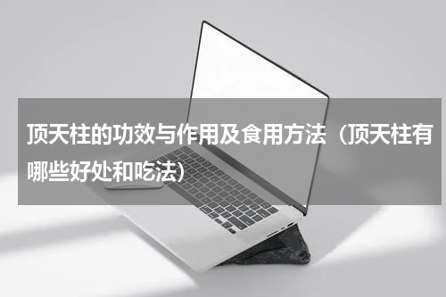 顶天柱的功效与作用及食用方法（顶天柱有哪些好处和吃法）