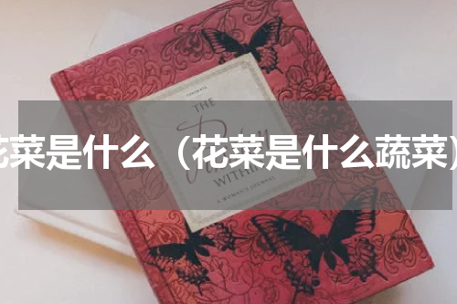 花菜是什么（花菜是什么蔬菜）