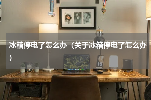 冰箱停电了怎么办（关于冰箱停电了怎么办）