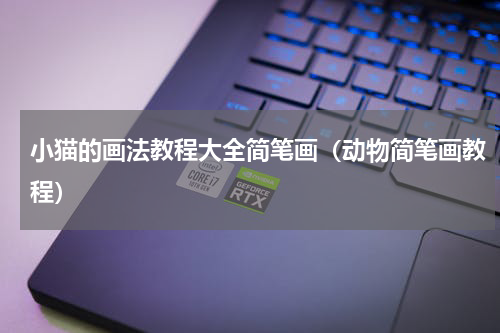 小猫的画法教程大全简笔画（动物简笔画教程）
