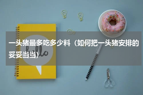 一头猪最多吃多少料（如何把一头猪安排的妥妥当当）