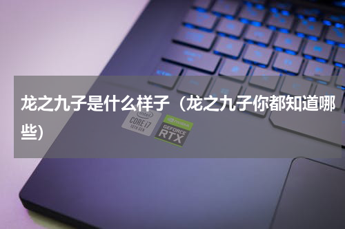 龙之九子是什么样子（龙之九子你都知道哪些）