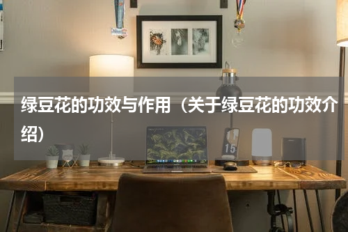 绿豆花的功效与作用（关于绿豆花的功效介绍）