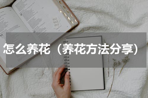 怎么养花（养花方法分享）