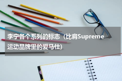李宁各个系列的标志（比肩Supreme运动品牌里的爱马仕）