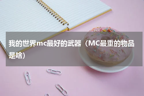 我的世界mc最好的武器（MC最重的物品是啥）