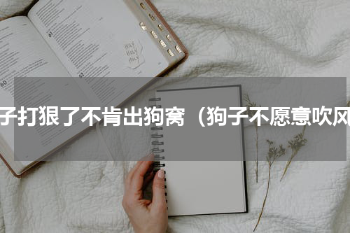 狗子打狠了不肯出狗窝（狗子不愿意吹风）
