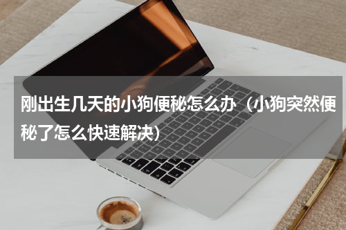 刚出生几天的小狗便秘怎么办（小狗突然便秘了怎么快速解决）
