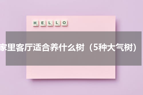 家里客厅适合养什么树（5种大气树）