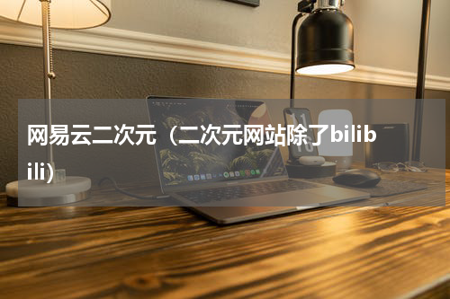 网易云二次元（二次元网站除了bilibili）