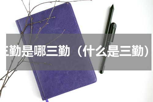三勤是哪三勤（什么是三勤）