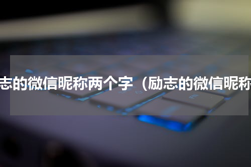 励志的微信昵称两个字（励志的微信昵称）