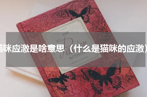 猫咪应激是啥意思（什么是猫咪的应激）