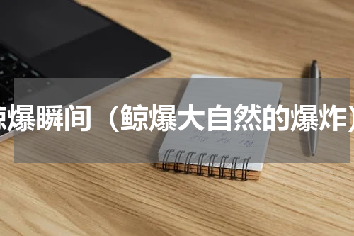 鲸爆瞬间（鲸爆大自然的爆炸）