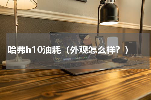 哈弗h10油耗（外观怎么样？）