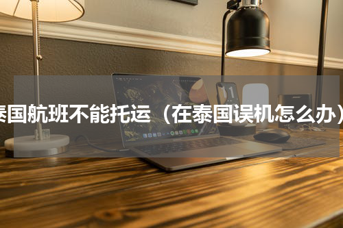 泰国航班不能托运（在泰国误机怎么办）