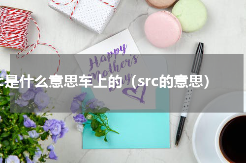 src是什么意思车上的（src的意思）