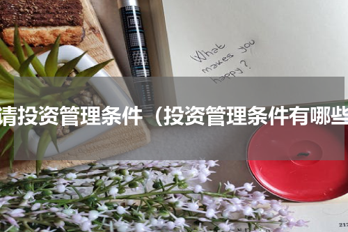 申请投资管理条件（投资管理条件有哪些）