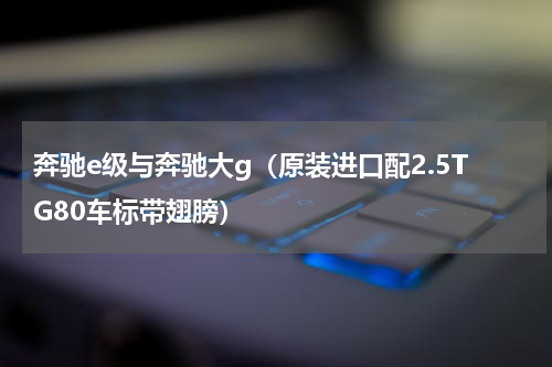 奔驰e级与奔驰大g（原装进口配2.5TG80车标带翅膀）