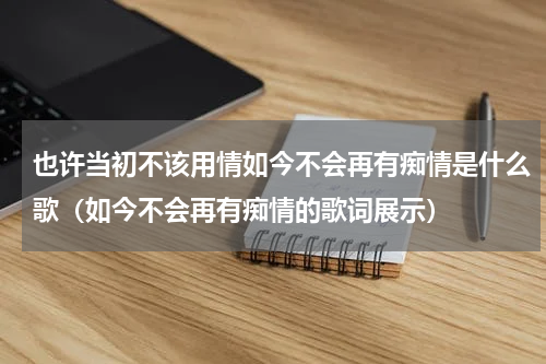 也许当初不该用情如今不会再有痴情是什么歌（如今不会再有痴情的歌词展示）
