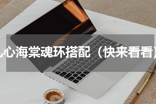 九心海棠魂环搭配（快来看看）