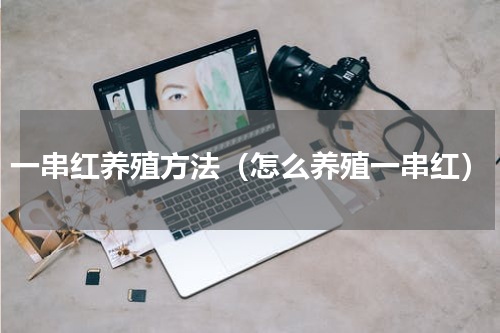 一串红养殖方法（怎么养殖一串红）