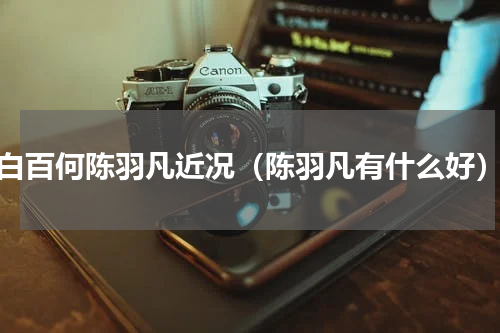 白百何陈羽凡近况（陈羽凡有什么好）
