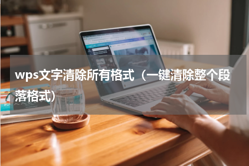 wps文字清除所有格式（一键清除整个段落格式）