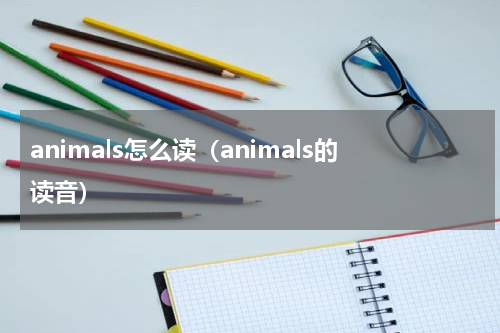 animals怎么读（animals的读音）