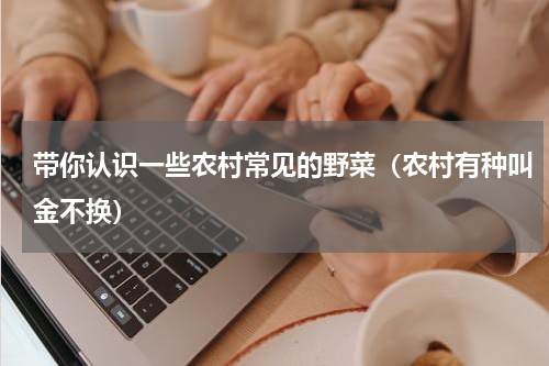 带你认识一些农村常见的野菜（农村有种叫金不换）