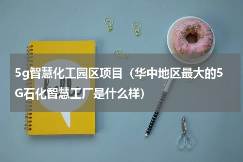 5g智慧化工园区项目（华中地区最大的5G石化智慧工厂是什么样）