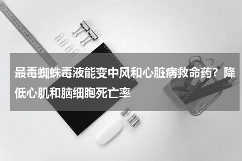 最毒蜘蛛毒液能变中风和心脏病救命药？降低心肌和脑细胞死亡率