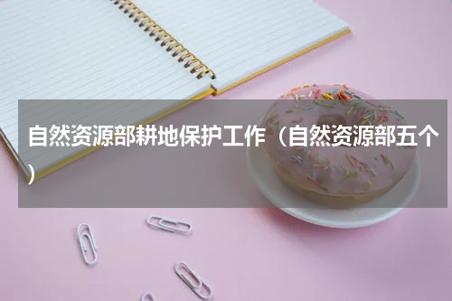 自然资源部耕地保护工作（自然资源部五个）