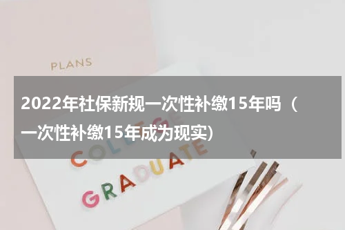 2022年社保新规一次性补缴15年吗（一次性补缴15年成为现实）
