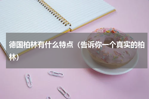 德国柏林有什么特点（告诉你一个真实的柏林）