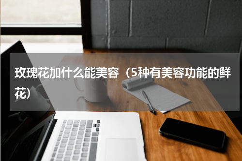 玫瑰花加什么能美容（5种有美容功能的鲜花）
