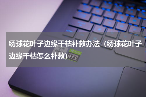 绣球花叶子边缘干枯补救办法（绣球花叶子边缘干枯怎么补救）