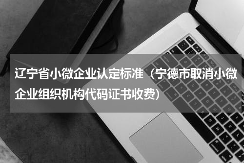 辽宁省小微企业认定标准（宁德市取消小微企业组织机构代码证书收费）
