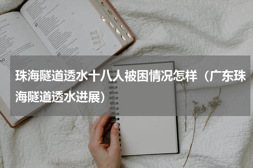 珠海隧道透水十八人被困情况怎样（广东珠海隧道透水进展）