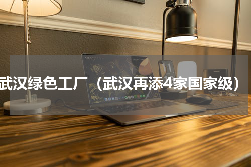 武汉绿色工厂（武汉再添4家国家级）