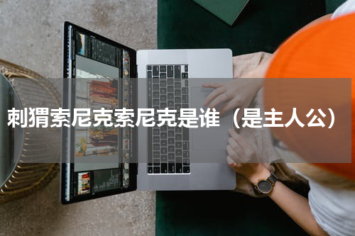 刺猬索尼克索尼克是谁（是主人公）