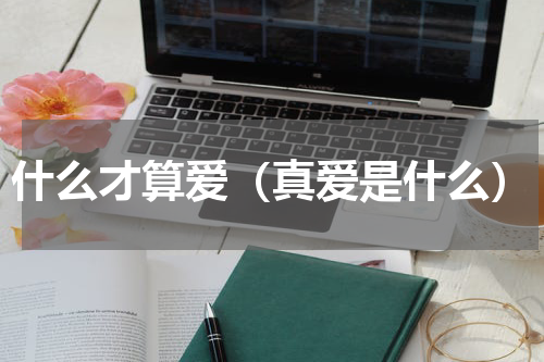 什么才算爱（真爱是什么）
