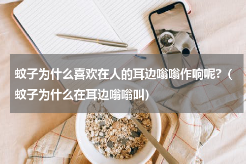 蚊子为什么喜欢在人的耳边嗡嗡作响呢?（蚊子为什么在耳边嗡嗡叫）