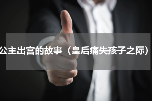 公主出宫的故事（皇后痛失孩子之际）