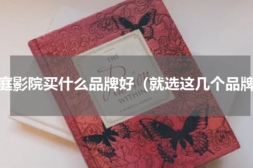家庭影院买什么品牌好（就选这几个品牌）