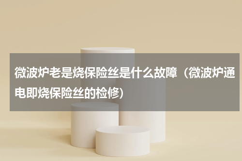 微波炉老是烧保险丝是什么故障（微波炉通电即烧保险丝的检修）