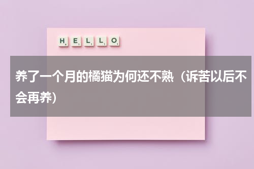 养了一个月的橘猫为何还不熟（诉苦以后不会再养）