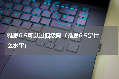 雅思6.5可以过四级吗（雅思6.5是什么水平）
